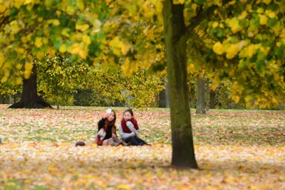 DSC_0587 (Large).JPG